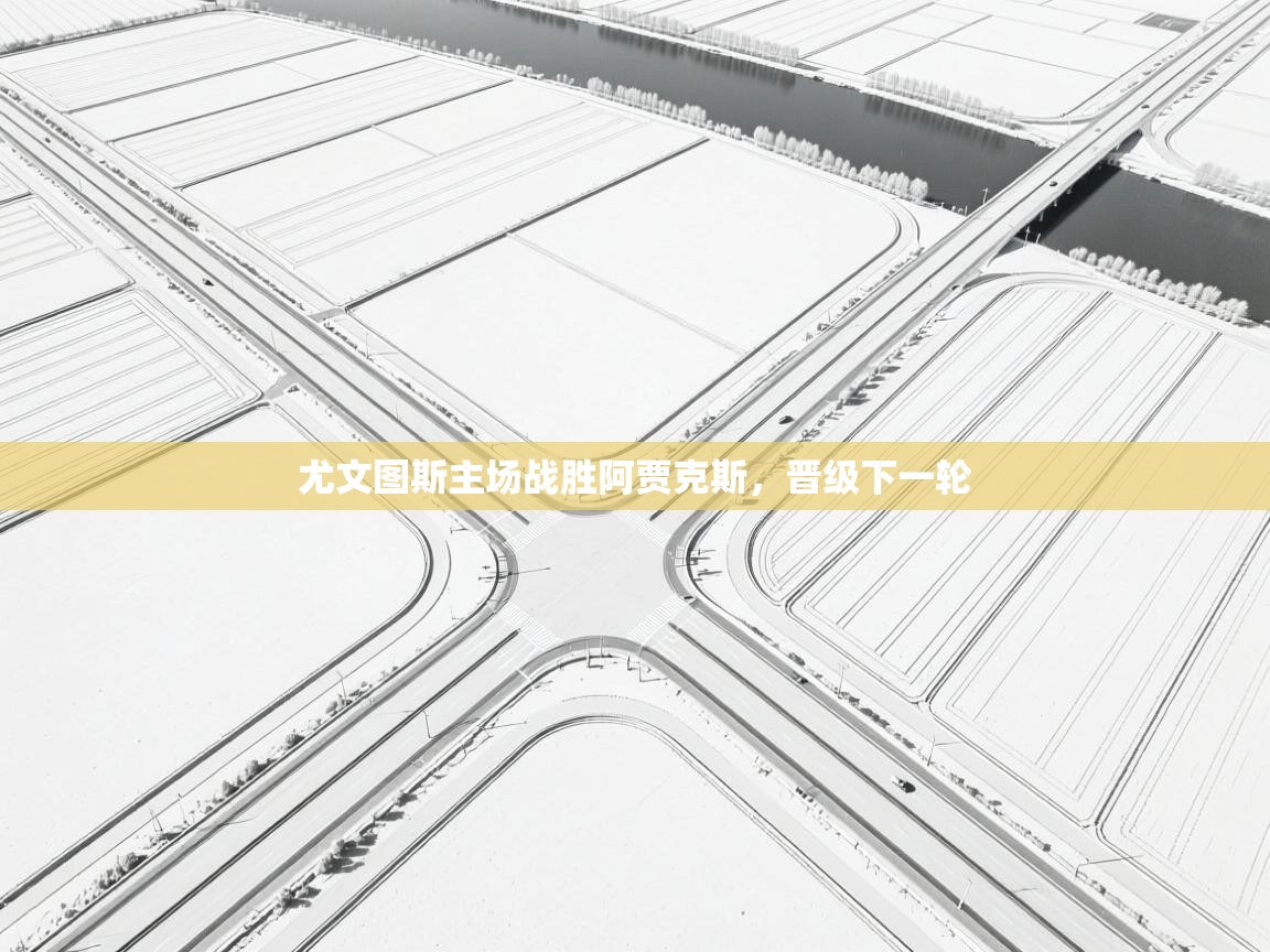 尤文图斯主场战胜阿贾克斯，晋级下一轮  第1张