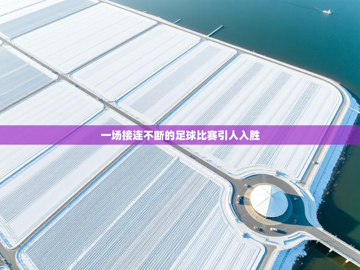 一场接连不断的足球比赛引人入胜  第2张