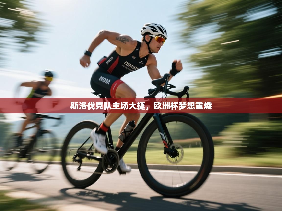 斯洛伐克队主场大捷，欧洲杯梦想重燃  第2张