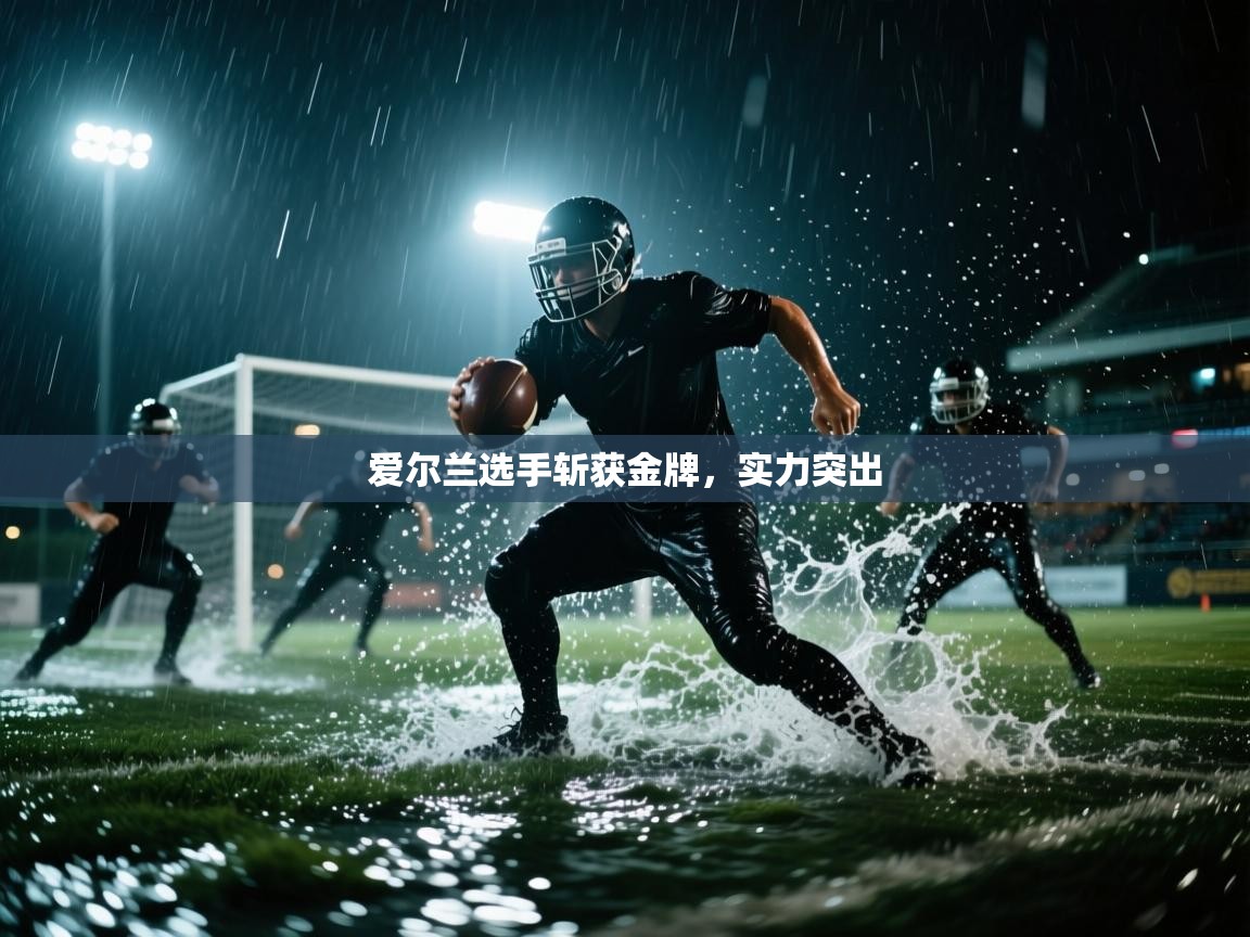 爱尔兰选手斩获金牌,实力突出 第2张