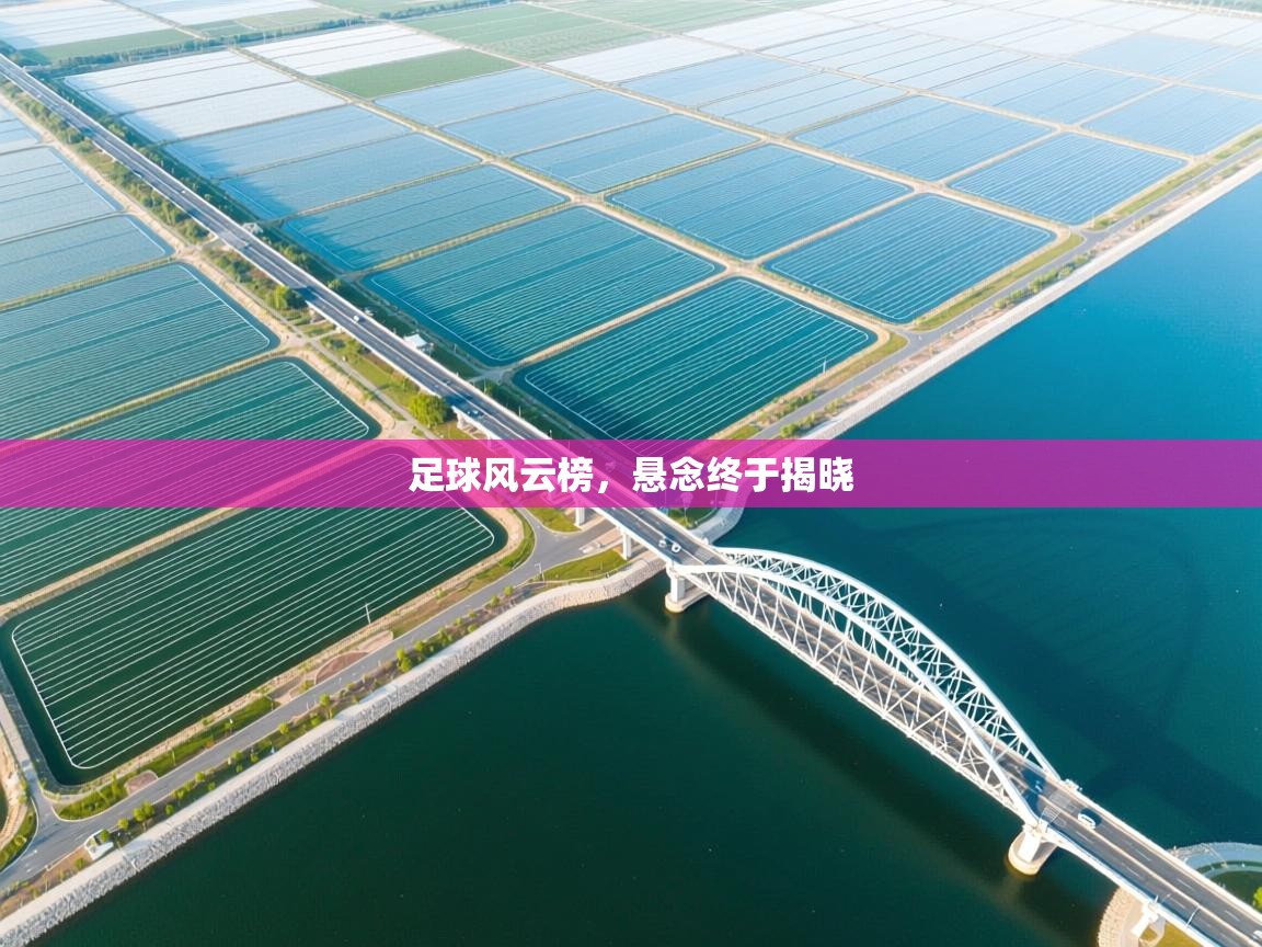 足球风云榜,悬念终于揭晓 第2张