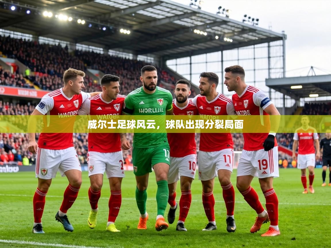 威尔士足球风云，球队出现分裂局面  第2张