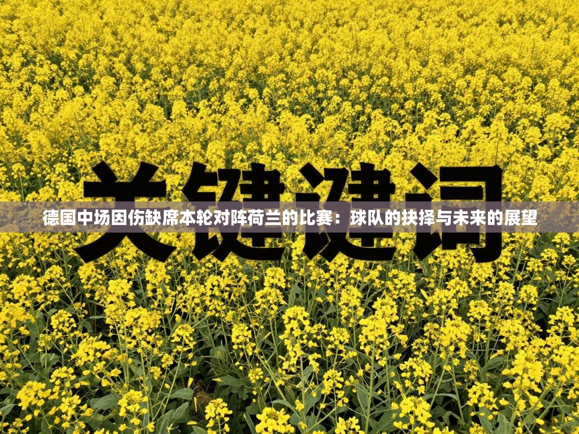 德国中场因伤缺席本轮对阵荷兰的比赛：球队的抉择与未来的展望  第1张